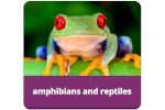 Image for searching by animal groups for Britannica Children